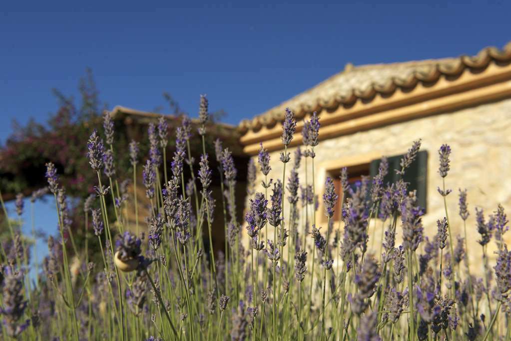 Hotel Carrossa & Artá
